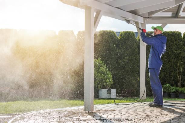 Best Animal Enclosure Cleaning  in Leon Valley, TX